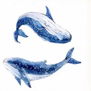 Meet your Posher, Talula